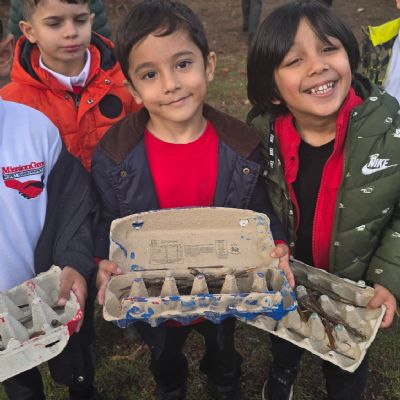 Goldfinch at Stoneydown Park